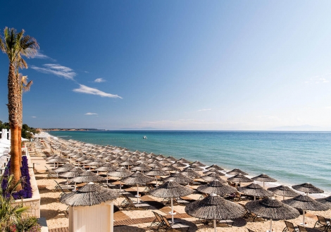 Potidea Palace Hotel - ПРОМО Оферта 2025