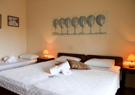 Ammon Garden Hotel